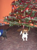 /album/happy-a-spol/pict0021-jpg/