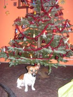 /album/happy-a-spol/pict0020-jpg/