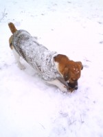 /album/happy-a-spol/dsc00131-jpg/