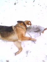 /album/happy-a-spol/dsc00129-jpg/