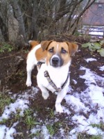 /album/happy-a-spol/dsc00138-jpg/