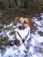 /album/happy-a-spol/dsc00140-jpg/