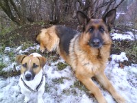 /album/happy-a-spol/dsc00143-jpg/