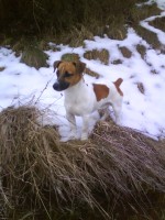 /album/happy-a-spol/dsc00155-jpg/