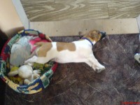 /album/happy-a-spol/dsc00164-jpg/