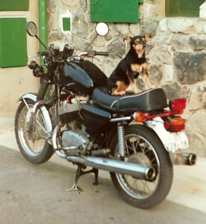 malá motorkářka.jpg