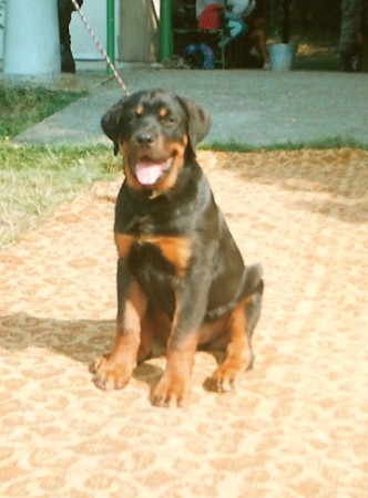 Cheynie 6 měsíců.jpg